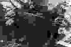 Constructia-Barajului-Tarnita-in-urma-cu-50-ani-2
