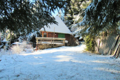 zapada-la-baisoara-decembrie-2024-10