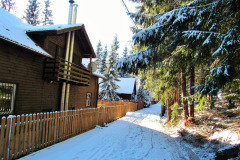 zapada-la-baisoara-decembrie-2024-11
