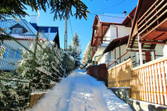 zapada-la-baisoara-decembrie-2024-14