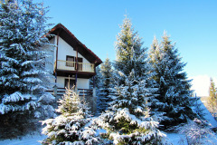 zapada-la-baisoara-decembrie-2024-15