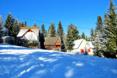 zapada-la-baisoara-decembrie-2024-5