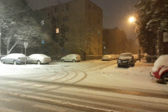 IMG-20230204-WA0050