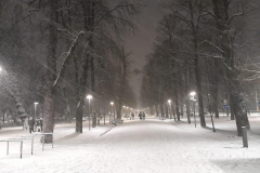 IMG-20230204-WA0052
