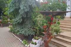 Manastirea-Dumbrava-Alba-7