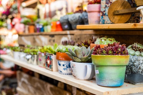 Piața de flori de pe strada Potaissa s-a mutat online