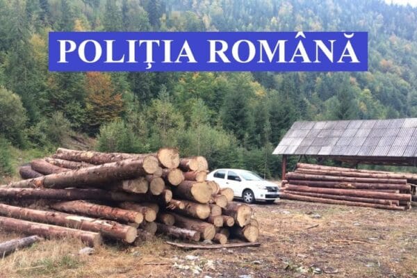 Lemne confiscate de polițiști la Cluj în valoare de aproape 10.000 euro