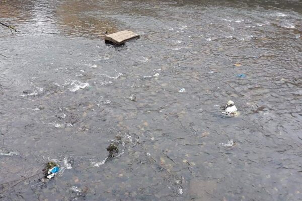 Albia Someșului Mic continuă să fie un focar de infecție plin de gunoaie – FOTO