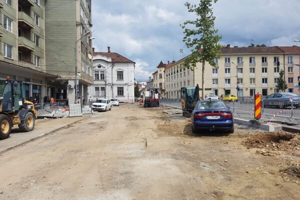 Copacii electorali ai lui Boc au dispărut! După ce au fost plantați de primar au fost scoși de muncitori