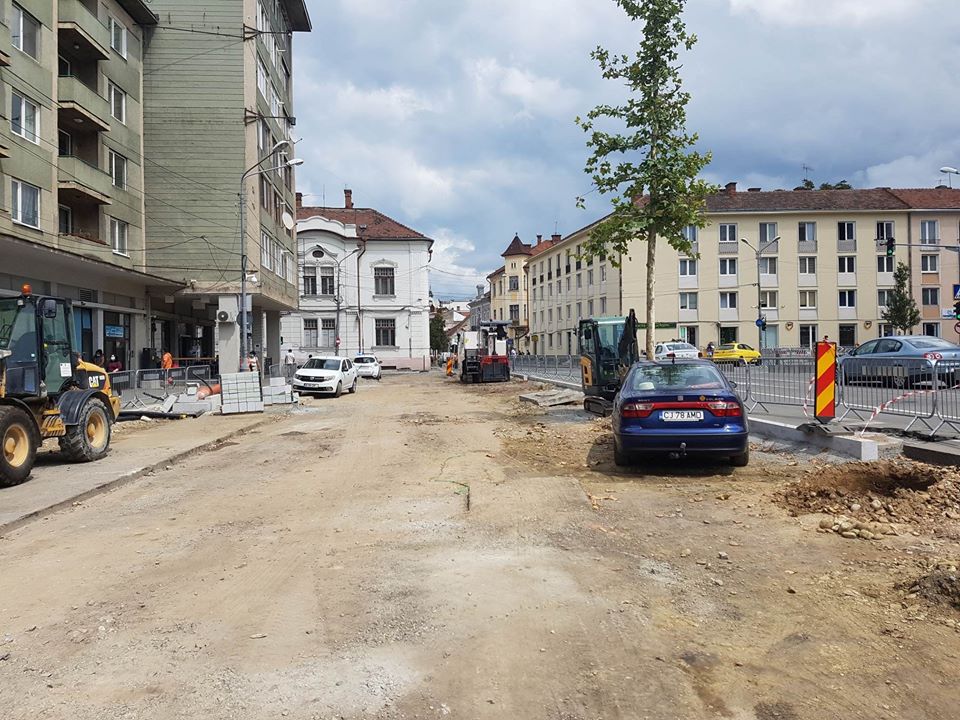 Copacii electorali ai lui Boc au dispărut! După ce au fost plantați de primar au fost scoși de muncitori