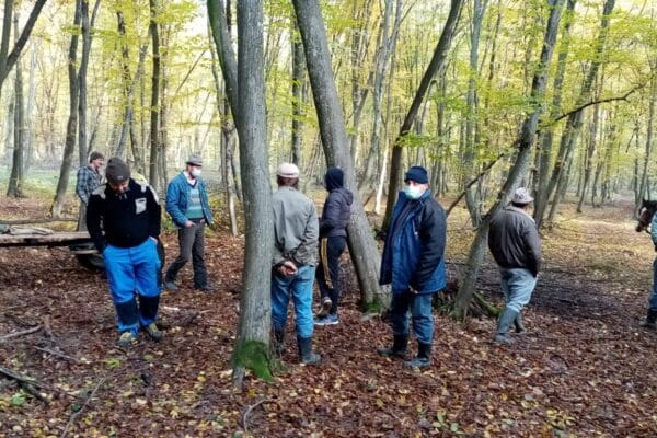 Hoții de lemne din Cluj, prinși la furat în Pădurea Hoia-Baciu. Au amenințat cu drujba și au sărit la bătaie de față cu poliția – VIDEO