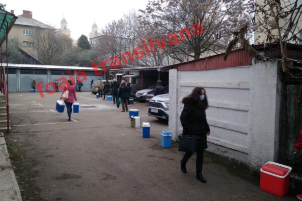 Revoltător! În fiecare dimineața, zeci de medici de familie puși să stea la coadă la DSP Cluj
