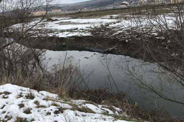 Alin Tișe a recunoscut adevărul în cazul poluării barbare a Someșului! Dezvăluiri de senzație făcute de președintele Consiliului Județean Cluj!