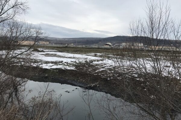 322.560 de tone de ape din canalizarea Clujului au ajuns în Someș. Neepurate. ABA Cluj se chinuie să mușamalizeze poluarea gigant. Episodul 3.