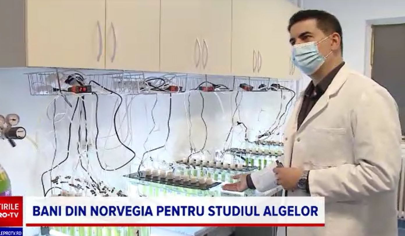 Fonduri norvegiene de peste 1 milion de euro, câștigate de o echipă de cercetători din Cluj pentru studierea algelor