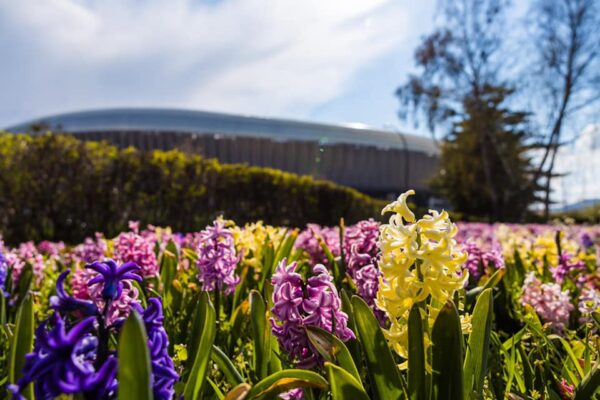 Vine vara la Cluj. Vești bune de la meteorologi pentru clujeni
