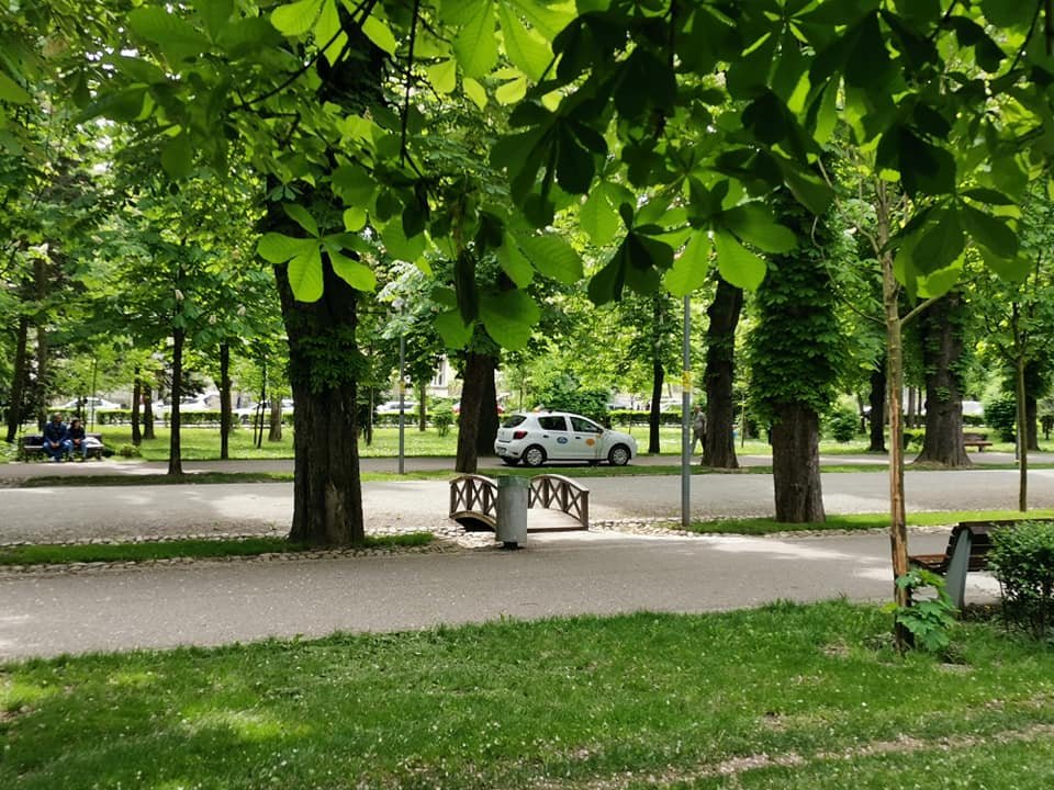 Un taxi a intrat în Parcul Central pentru a prelua o persoană cu handicap! Avea acceptul Poliției Locale