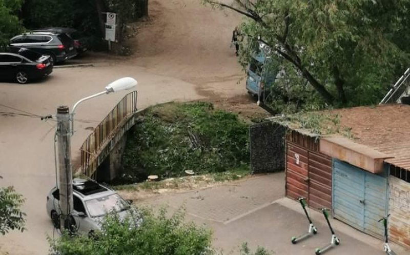 Cluj-Napoca, orașul de beton! A început „mazilirea” copacilor din Parcul Rozelor pentru „mastodontul” de 10 etaje deținut de Vasile Salanță