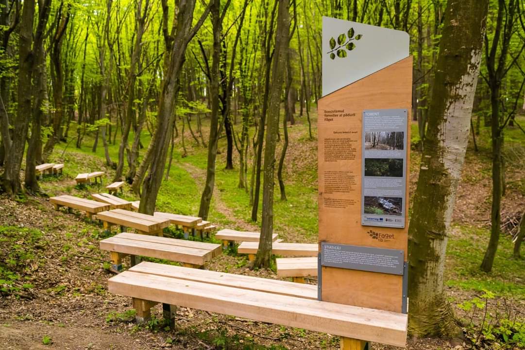 Pădurea-parc Făget, cea mai nouă zonă de agrement pentru clujeni