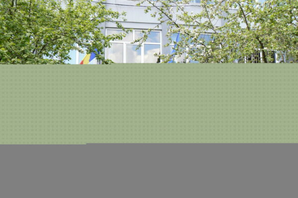 Mai mulți elevi depistați pozitiv cu COVID-19 la Colegiul de Servicii în Turism „Napoca”. 4 clase au trecut la școală online