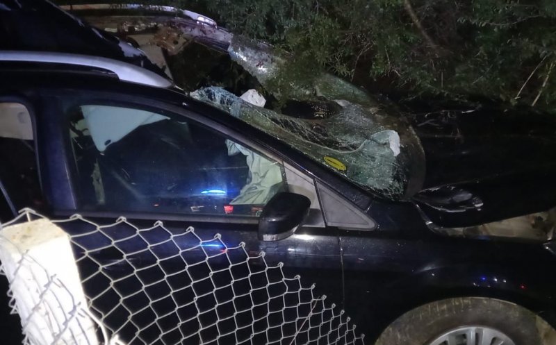 ACCIDENT la Cluj. O şoferiţă începătoare de 19 ani a lovit în plin un cal