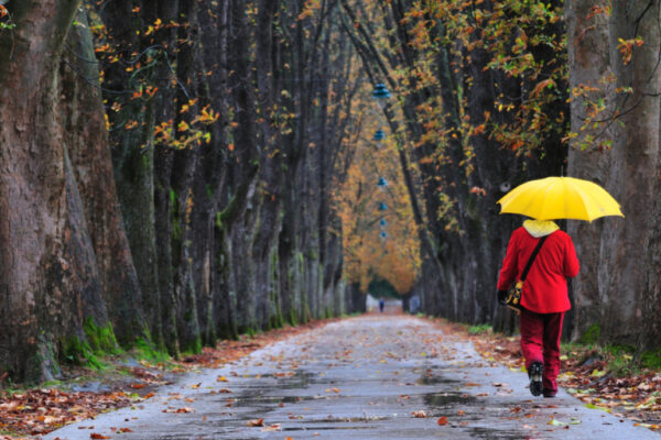 Vine frigul și temperaturile vor ajunge până la 2 grade! Cum va fi vremea la început de octombrie