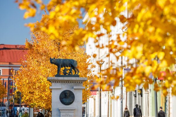 Toamna nebun de frumoasă la Cluj-Napoca, surprinse în 20 de fotografii INEDITE
