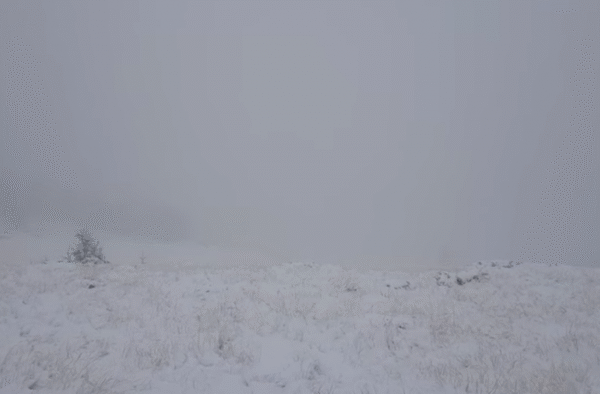 Prima ninsoare căzută din 2021 la Cluj, pe Masivul Vlădeasa! VIDEO