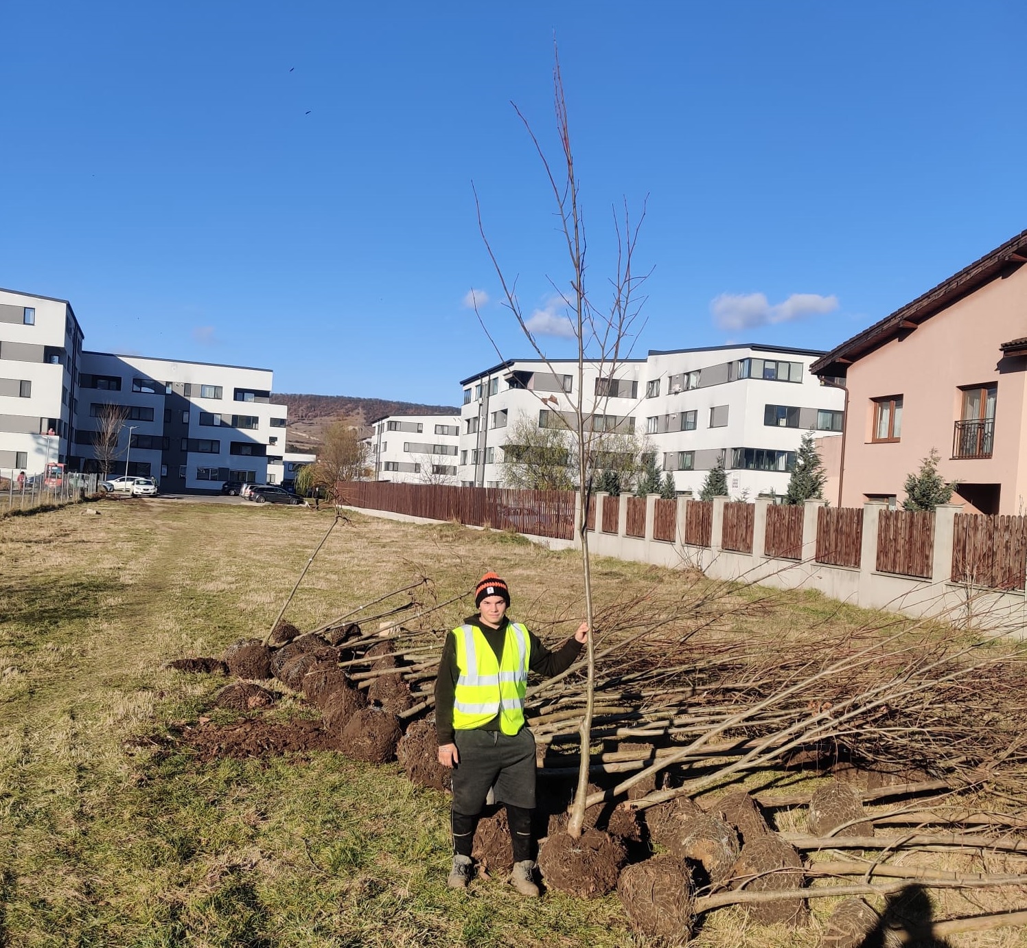 La Florești a început o campanie amplă de plantare de arbori