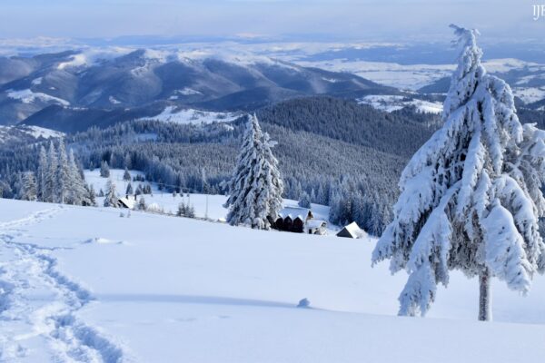 Ninsoare și viscol pe masivul Vlădeasa din Cluj