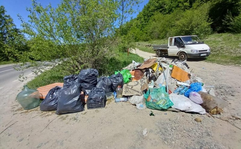 Clujenii sunt așteptați la o acțiune de ecologizare în pădurea Făget