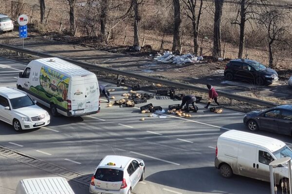 Și-a pierdut pâinea pe drum. Imagine rară surprinsă în Cluj Napoca