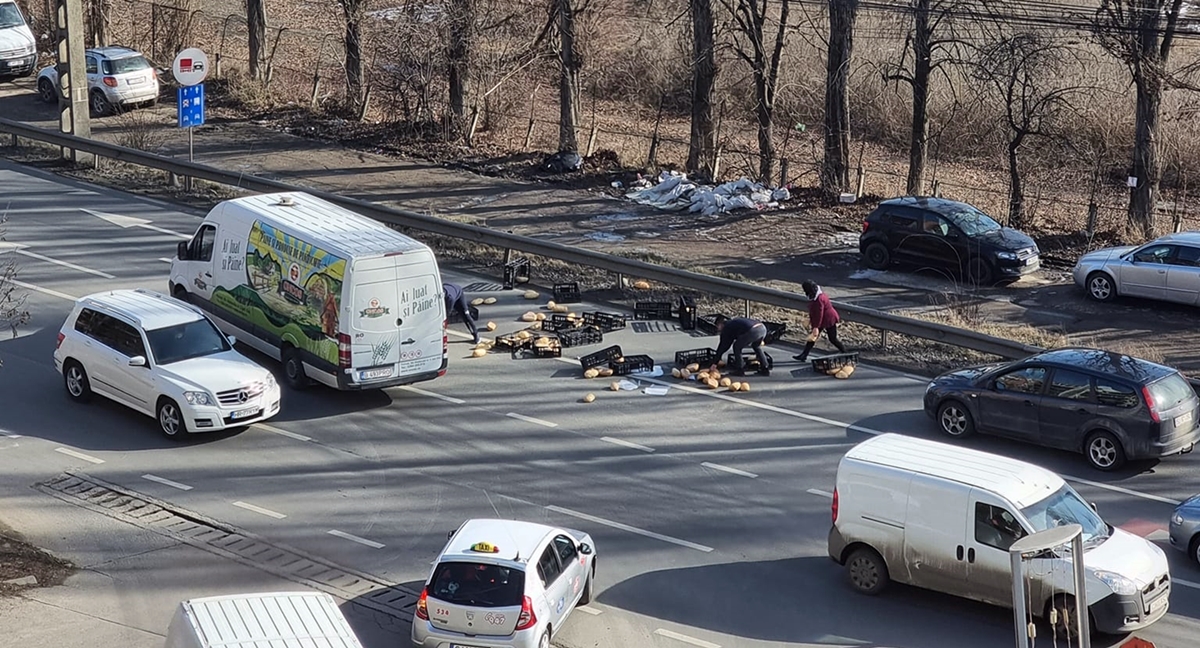 Și-a pierdut pâinea pe drum. Imagine rară surprinsă în Cluj Napoca
