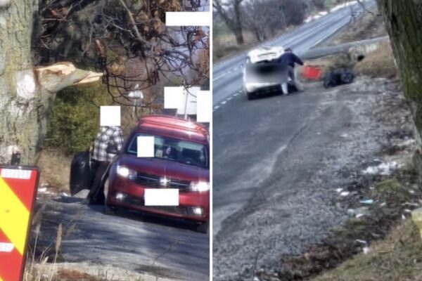 La Bihor se poate, la Cluj nu. Bihorenii au montat camere ascunse pentru depistarea celor care aruncă gunoaie pe marginea drumului