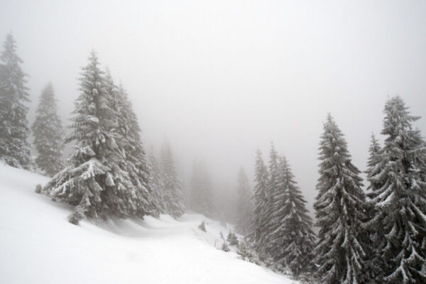 Iarna nu se lasă dusă de la Cluj. Se anunță COD GALBEN de viscol și vânt puternic