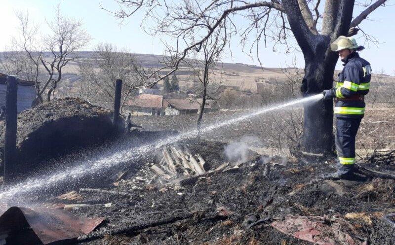 Incendiile de vegetație continuă sa facă ravagii. Au „ars” o lemnărie și un adăpost de animale