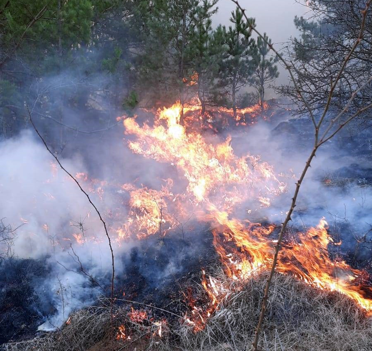 Pompierii clujeni au făcut anunțul. Tot mai multe forțe sunt trimise în zonă. ”De trei zile arde totul”