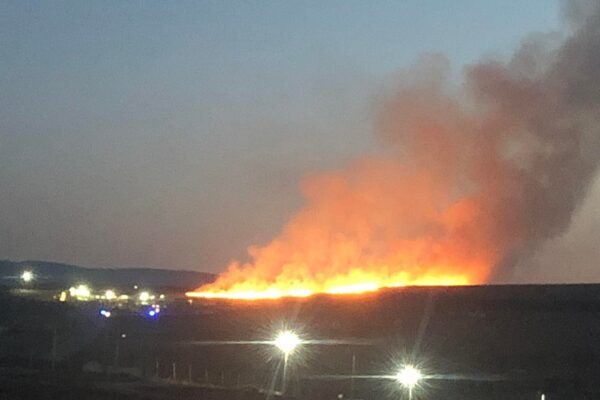 Incendiu de vegetație la Chinteni. Primăria va depune o plângere penală