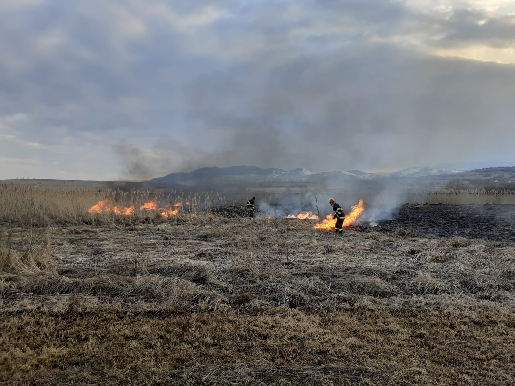 SEMNAL de ALARMĂ. Pompierii clujeni s-au luptat cu peste 50 de incendii de vegetație în weekend-ul trecut