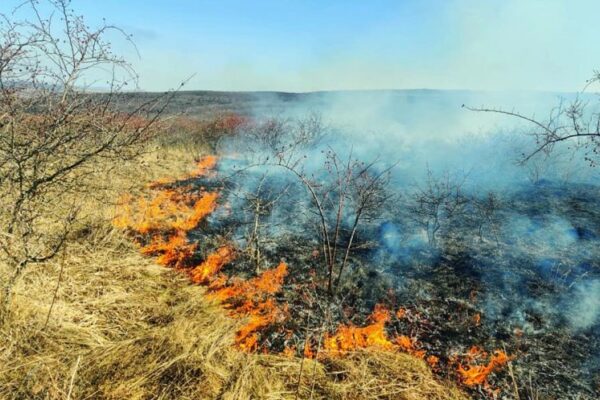 AVIZ AMATORILOR. Au crescut aamenzile pentru arderea vegetației uscate. Sancțiunile se ridică până la 100.000 de lei