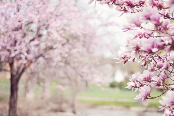Ne pregătim să punem hainele groase în dulap. VINE PRIMĂVARA!