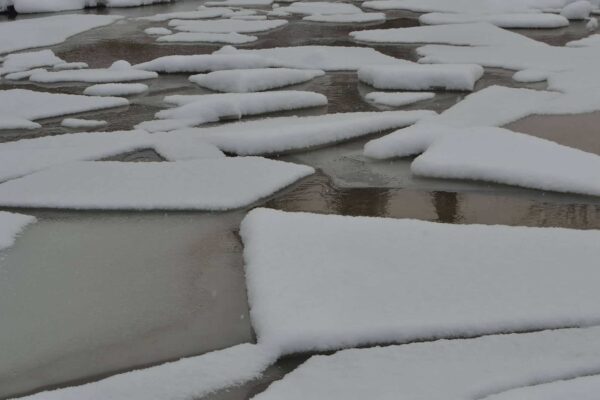 4 ucraineni au fugit de război și au trecut ILEGAL granița în România prin apele înghețate ale râului Tisa