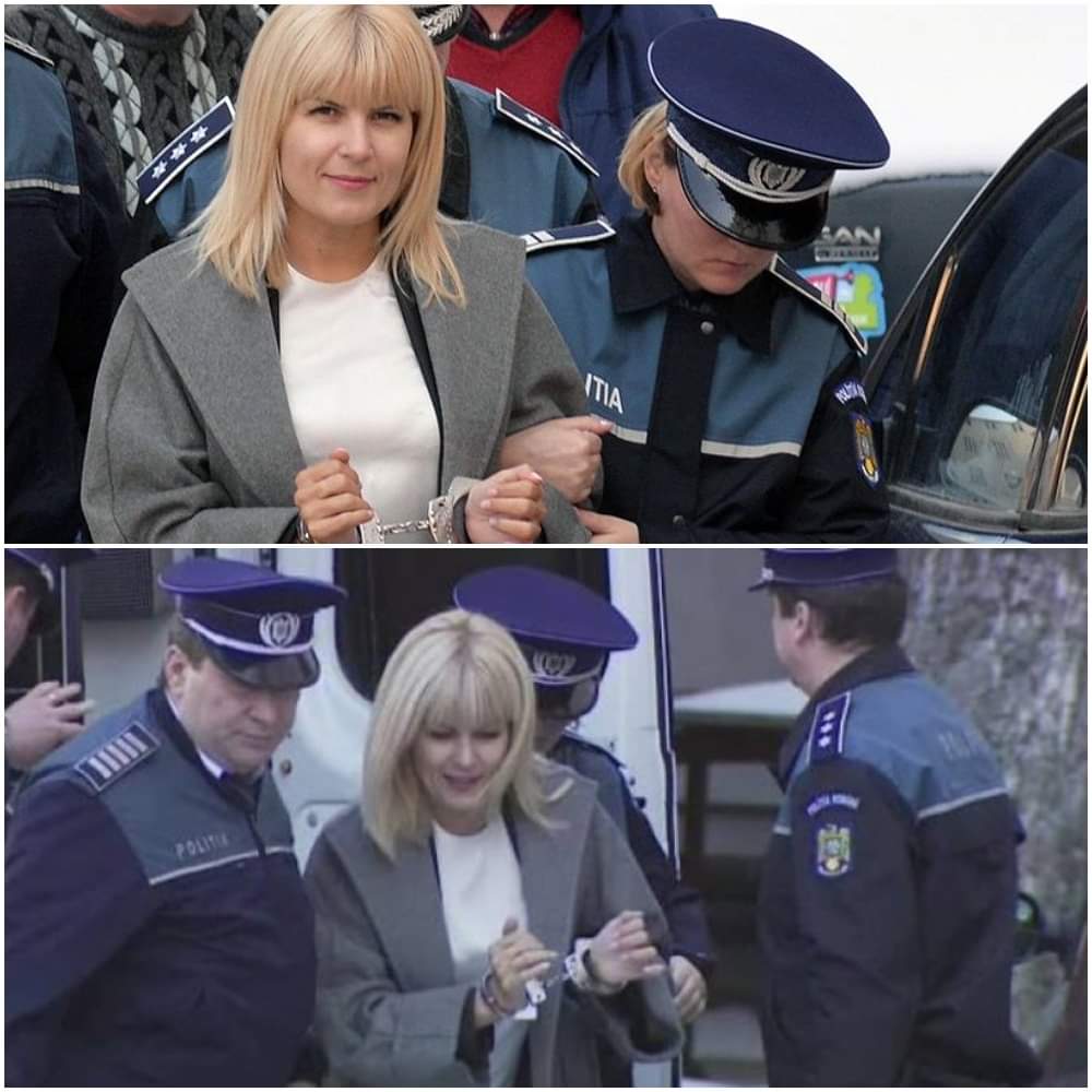 Elena Udrea și-a petrecut noaptea în arestul din Bulgaria. Ce urmează pentru fostul ministru