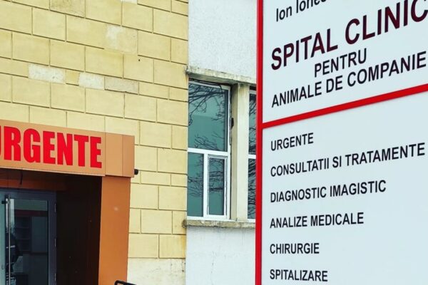 UPDATE – Spitalul pentru animale de la Facultatea de Medicină Veterinară te rupe la buzunar. Este incredibil cât a plătit un clujean pentru analizele medicale