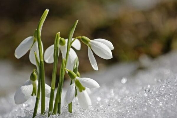 Prognoza meteo la Cluj în martie
