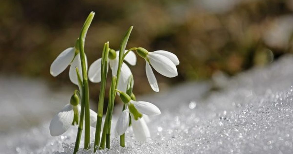 Prognoza meteo la Cluj în martie