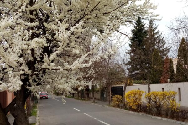 Prognoza meteo pentru luna aprilie 2024