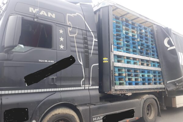 Garda Forestieră Cluj, la datorie! A fost identificat un transport ilegal de lemne