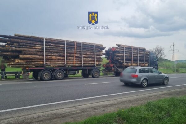 „Mafia lemnului” din județul Cluj,  luată la control. Amenzi de zeci de mii de lei pentru hoții de lemne