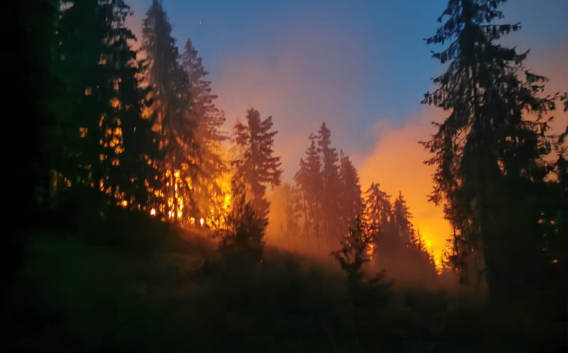 INCENDIU puternic într-o pădure din Munții Apuseni. Zeci de pompieri și voluntari intervin